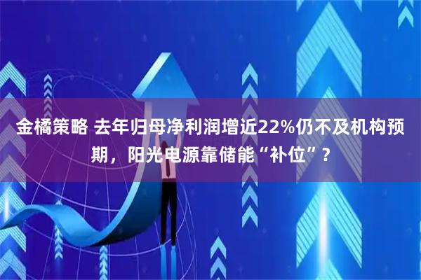 金橘策略 去年归母净利润增近22%仍不及机构预期，阳光电源靠储能“补位”？