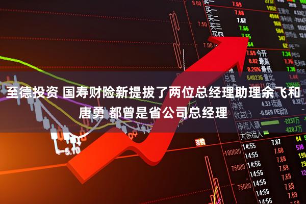 至德投资 国寿财险新提拔了两位总经理助理余飞和唐勇 都曾是省公司总经理