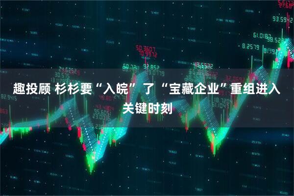 趣投顾 杉杉要“入皖” 了 “宝藏企业”重组进入关键时刻