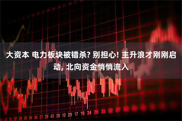 大资本 电力板块被错杀? 别担心! 主升浪才刚刚启动, 北向资金悄悄流入
