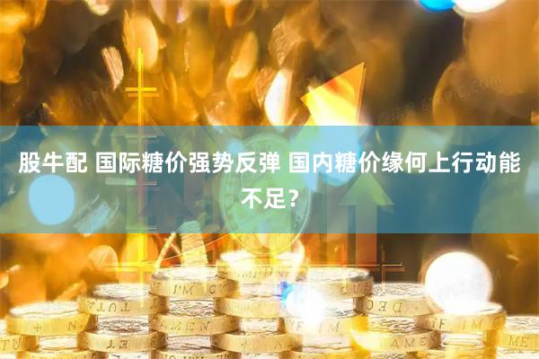 股牛配 国际糖价强势反弹 国内糖价缘何上行动能不足？
