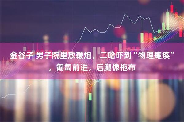 金谷子 男子院里放鞭炮，二哈吓到“物理瘫痪”，匍匐前进，后腿像拖布