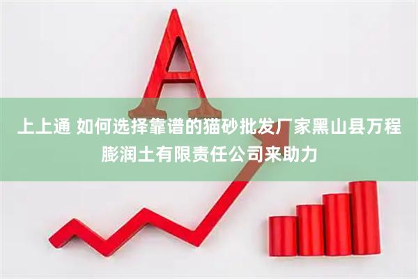 上上通 如何选择靠谱的猫砂批发厂家黑山县万程膨润土有限责任公司来助力