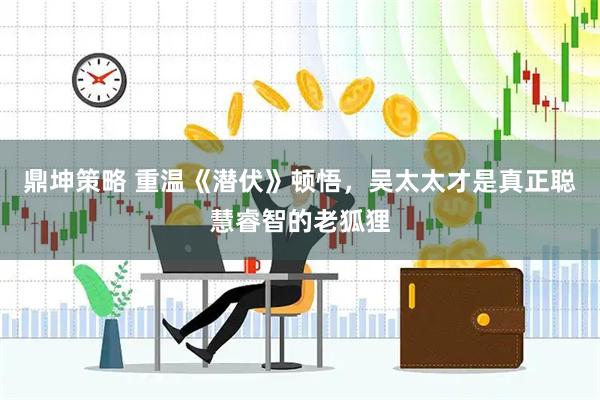 鼎坤策略 重温《潜伏》顿悟，吴太太才是真正聪慧睿智的老狐狸