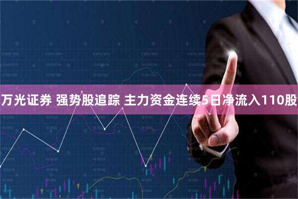 万光证券 强势股追踪 主力资金连续5日净流入110股