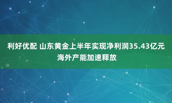 利好优配 山东黄金上半年实现净利润35.43亿元 海外产能加速释放